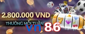 vn86