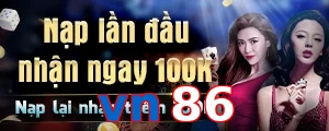 vn86