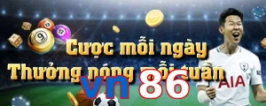 vn86