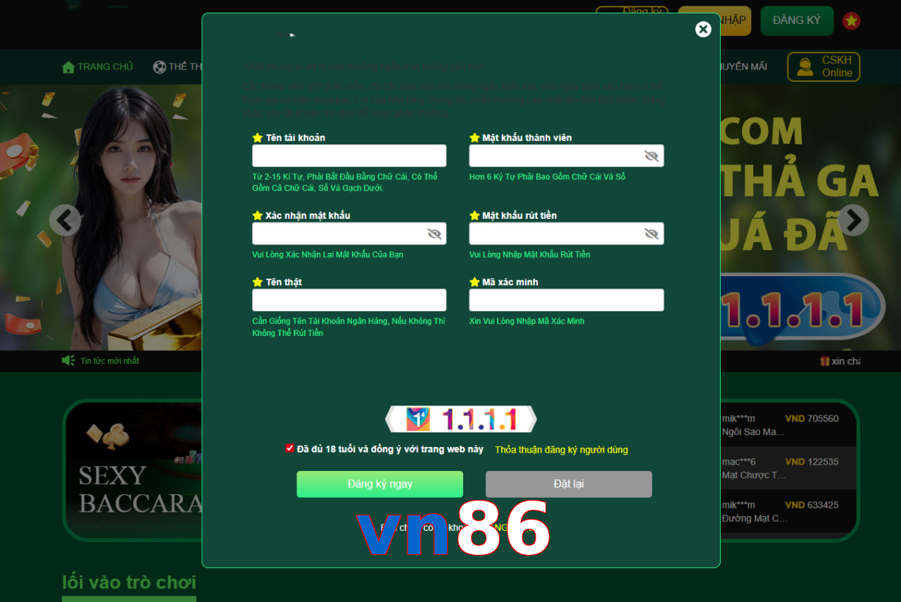 vn86